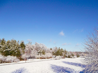 Winter in der Uckermark