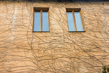 Dry dead branches pattern decoration on yellow wall. Autumn background