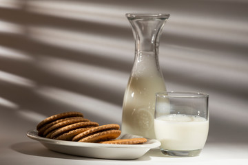 breakfast with milk and cookies