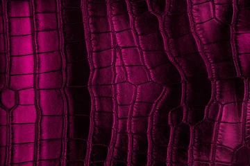 Foto auf Acrylglas Violet crocodile leather texture © domnitsky