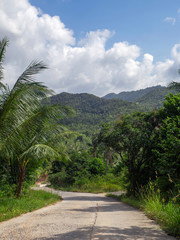 The beautiful roads of Koh Phangan go into the distance. Thailand