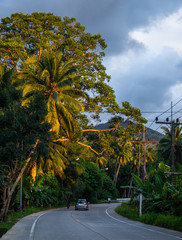 Fototapeta premium The beautiful roads of Koh Phangan go into the distance. Thailand