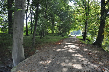 Alley in the park in Denmark
