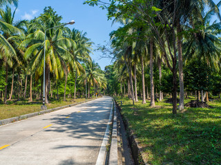 Obraz premium The beautiful roads of Koh Phangan go into the distance. Thailand