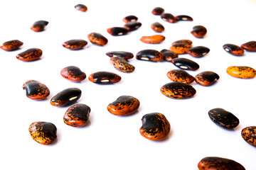 a few of black-brown beans on white background