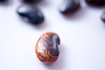 black-brown beans on white background