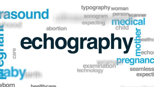 Echography animated word cloud. Kinetic typography.