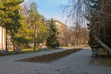 A view of the park with trees and flower beds in early spring in the morning
