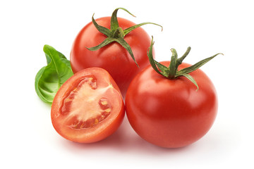 Fresh green basil leaves with juicy tomatoes, close-up, isolated on white background