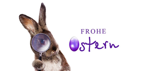 Osterhase