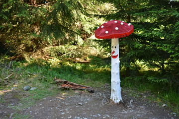 Wooden red toadstool