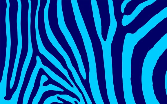 Zebra Animal Print Colored