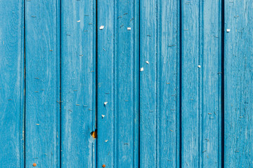 Staples on an old wooden wall.