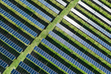 Solar Farm