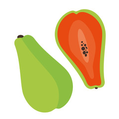Papaya flat illustration
