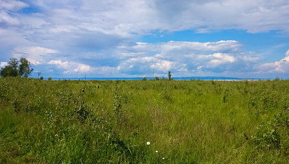 Fototapeta na wymiar A field of green grass against the sky and Lake Baikal. Summer landscape. Russia.