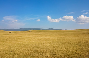 A field of dry yellow grass. Steppe rovnin on Olkhon Island. Lake Baikal, Russia.