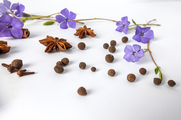 Spices