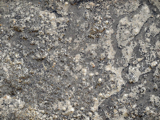 wet earth dirt