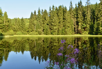 Obraz premium The natural scenery of the Ore Mountains