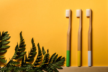 full colours bamboo toothbrushes on yellow background with tropical leaf. Place for text. Ecoproduct.   eco-friendly