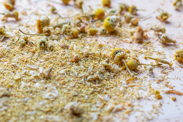 Medicinal dried chamomile scattered