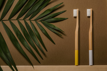 white and yellow colours bamboo toothbrushes on broun background with tropical leaf. Place for...