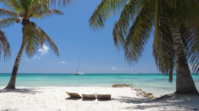 Beach calm scene with sunbeds under coconut palms close to Caribbean sea. Tropical paradise with chaise lounges on white sand