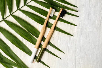 black and white colours bamboo toothbrushes on white wood background with tropical leaf. Place for...