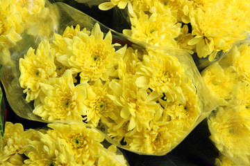 bouquet of yellow flowers (chrysanthemums)