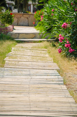 Wooden walkway, a passage near the flowers, moving through folders.