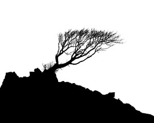 Black and White Illustration image of a tree and hillside in Silhouette. - 260605080