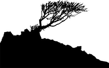 Black and White vector image of a tree and hillside in Silhouette.