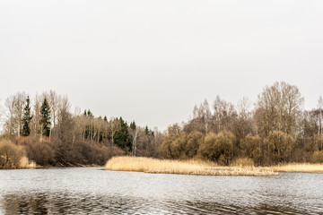 a forest lake and the sky with clouds, cloudy weather in early spring