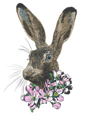 Hand drawn vector Rabbit portrait.