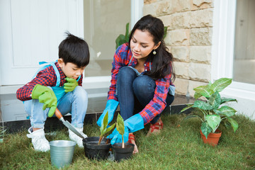 mom and son planting new plant on pot put some soil in it. gardening activity with family
