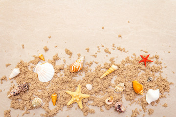 Fototapeta na wymiar Seashells sandy summer background. Lots of different seashells piled together, copy space, frame, top view.