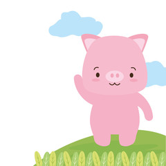 Obraz na płótnie Canvas cute piggy cartoon