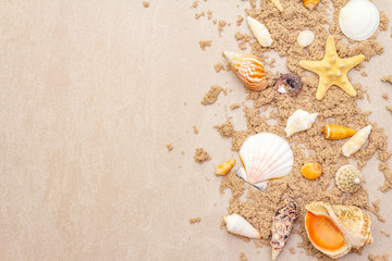 Seashells sandy summer background. Lots of different seashells piled together, copy space, frame, top view.