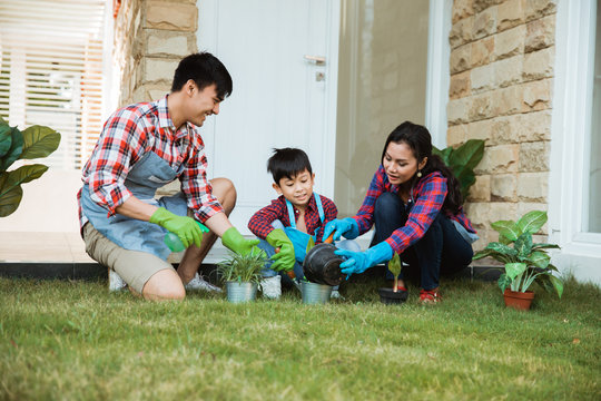 Parent And Son Gardening Activity Outdoor In The Garden House. Asian Family Planting A New Tree Together