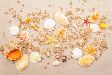 Seashells sandy summer background. Lots of different seashells piled together, copy space, top view.