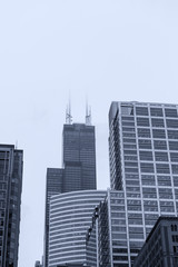 Skyscrapers of Chicago in the fog