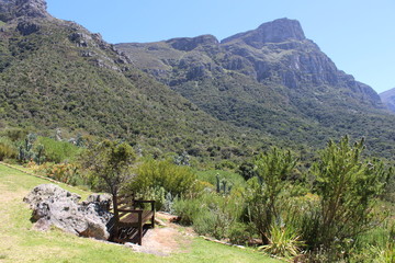 Kirstenbosch Botanical Garden