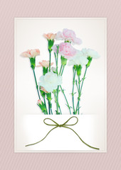 Mother's day background with carnation.
