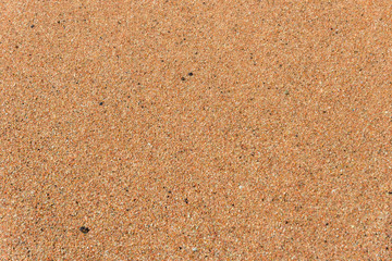 Fototapeta na wymiar Top view of sandy beach. Background with copy space and visible sand texture.