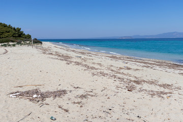 Fototapeta na wymiar Amazing view of Xenia Golden Beach at Kassandra Peninsula, Chalkidiki, Central Macedonia, Greece
