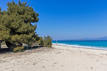 Amazing view of Xenia Golden Beach at Kassandra Peninsula, Chalkidiki, Central Macedonia, Greece
