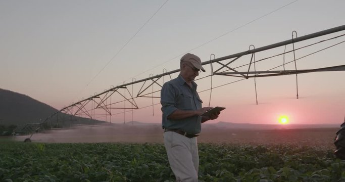 4K backlit view of a modern farmer monitoring his vegetable crop with a tablet using advanced technology on a large scale vegetable farm with a centre pivot irrigating in the background