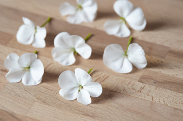 white flowers on wooden table