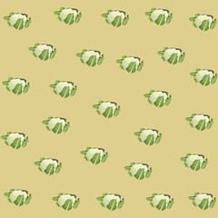 cauliflower icon cartoon